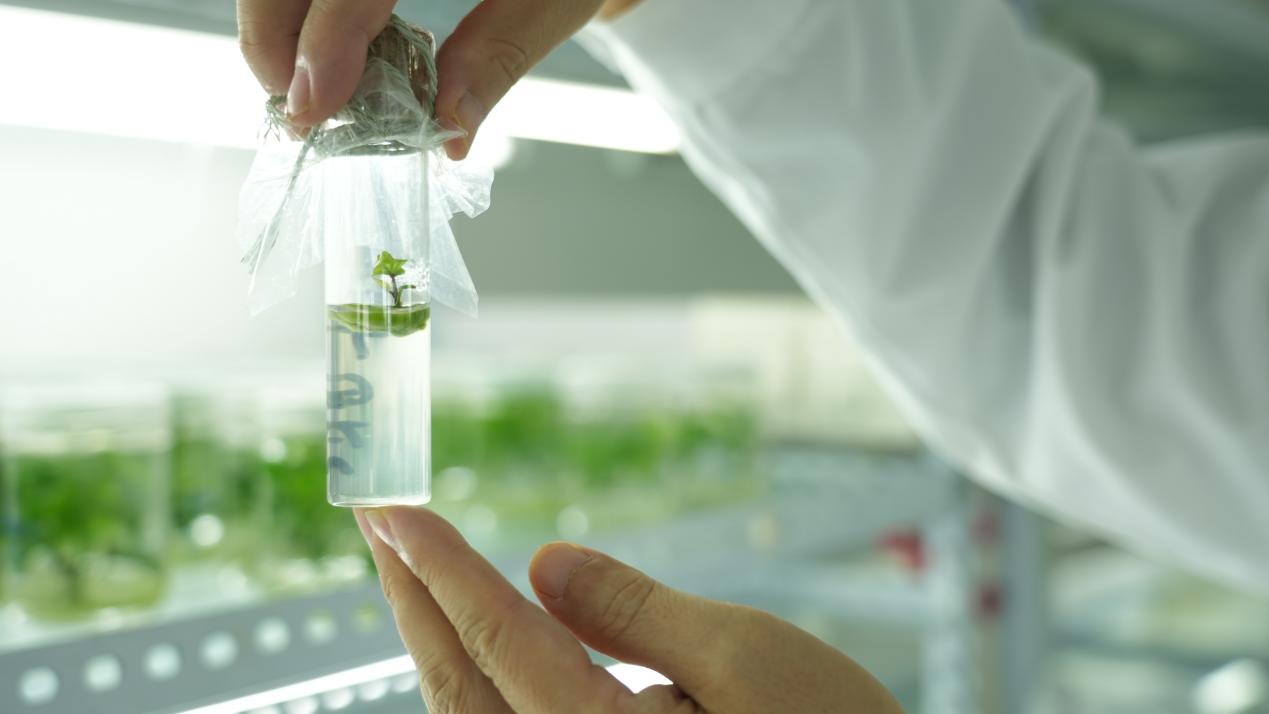 й8846˹(ɷ)޹˾-ٷվ