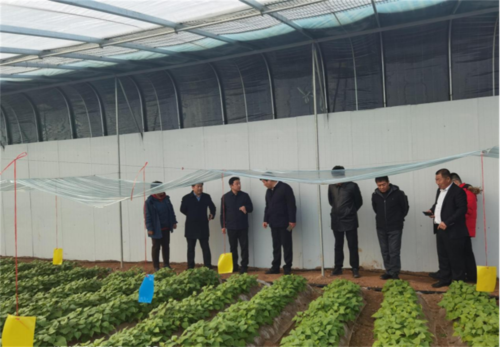 й8846˹(ɷ)޹˾-ٷվ