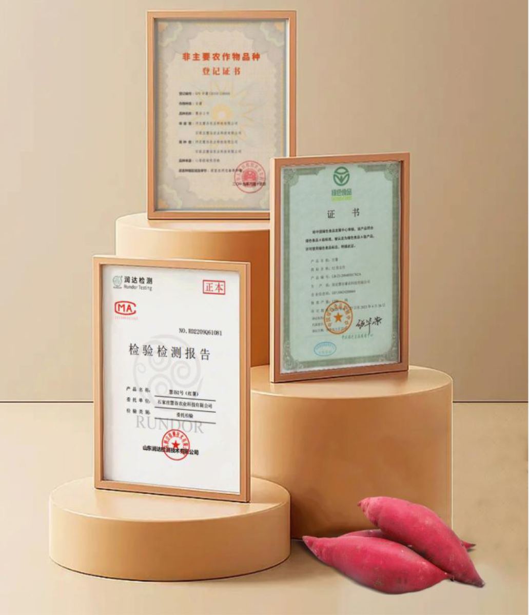 й8846˹(ɷ)޹˾-ٷվ