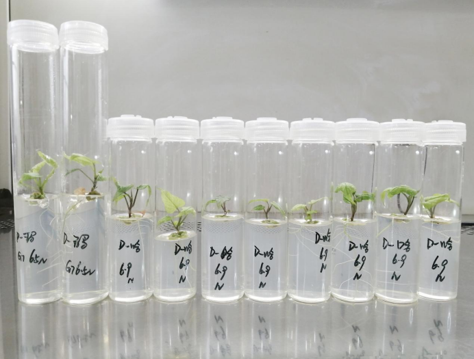 й8846˹(ɷ)޹˾-ٷվ