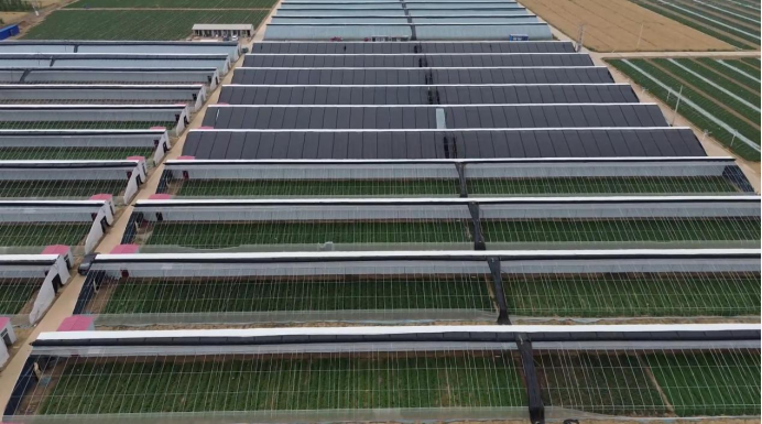 й8846˹(ɷ)޹˾-ٷվ