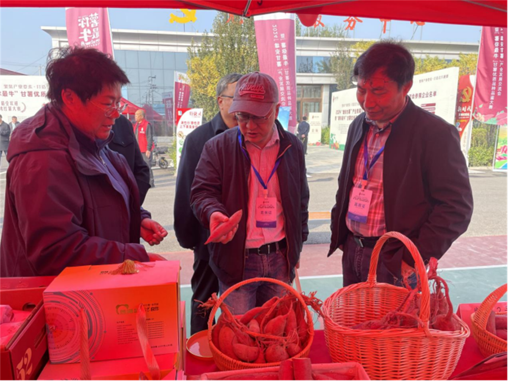 й8846˹(ɷ)޹˾-ٷվ