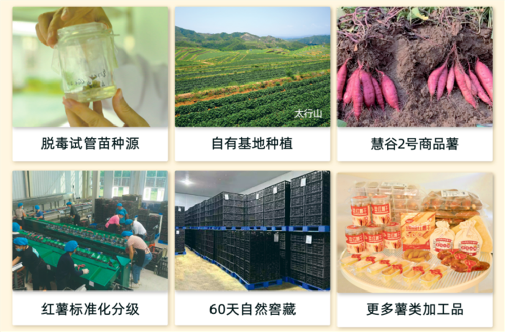 й8846˹(ɷ)޹˾-ٷվ