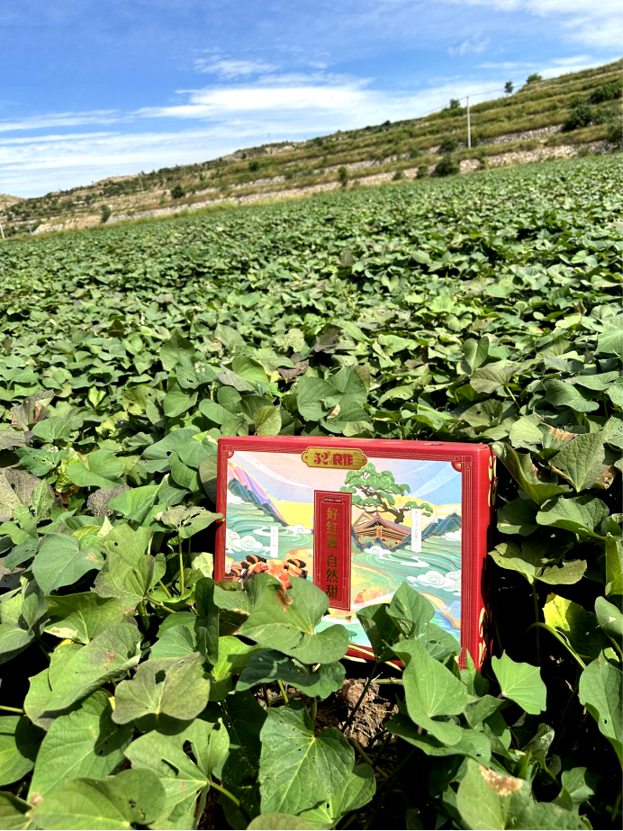 й8846˹(ɷ)޹˾-ٷվ