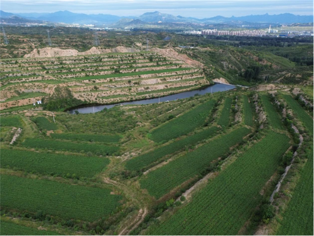 й8846˹(ɷ)޹˾-ٷվ