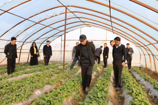 й8846˹(ɷ)޹˾-ٷվ