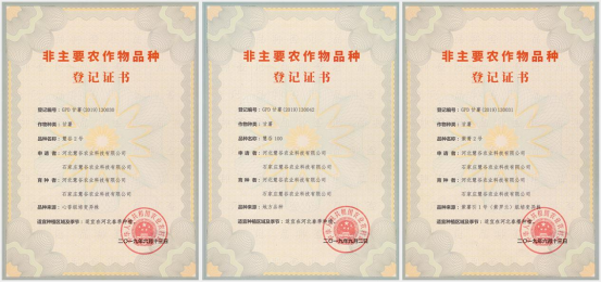 й8846˹(ɷ)޹˾-ٷվ