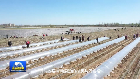 й8846˹(ɷ)޹˾-ٷվ