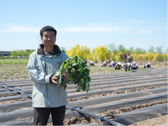 й8846˹(ɷ)޹˾-ٷվ