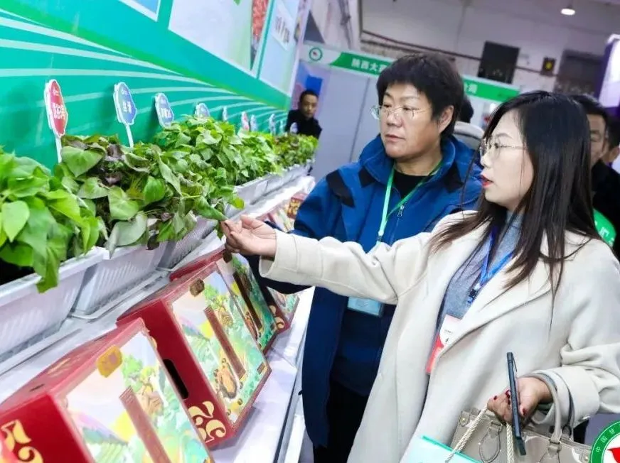 й8846˹(ɷ)޹˾-ٷվ