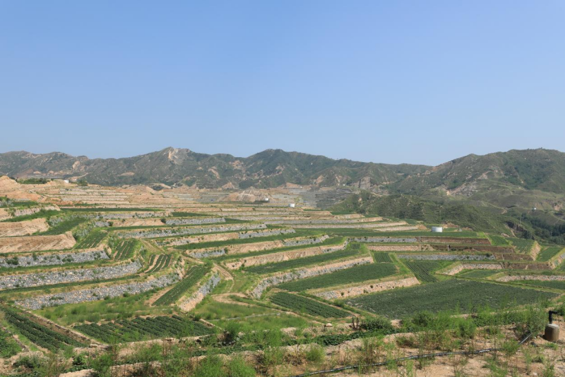 й8846˹(ɷ)޹˾-ٷվ