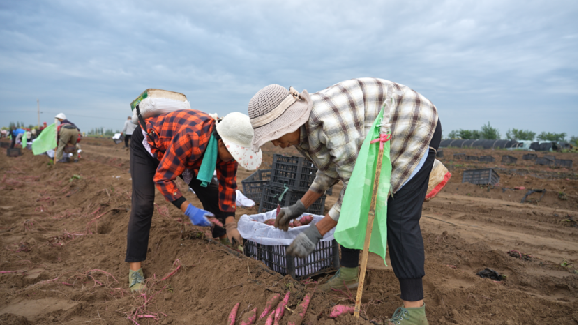 й8846˹(ɷ)޹˾-ٷվ