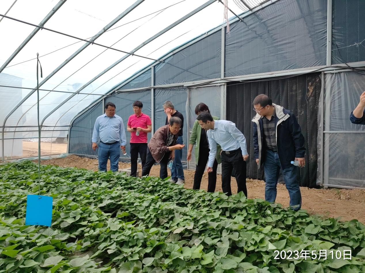 й8846˹(ɷ)޹˾-ٷվ