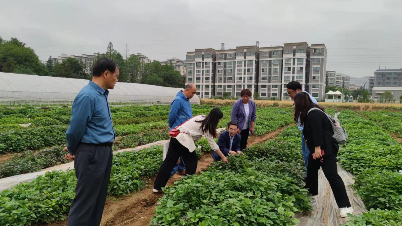 й8846˹(ɷ)޹˾-ٷվ