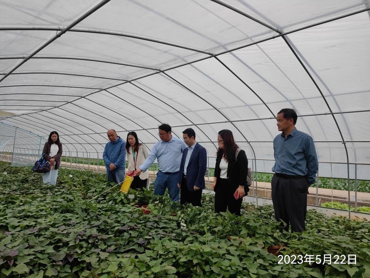 й8846˹(ɷ)޹˾-ٷվ