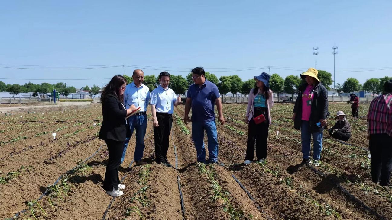 й8846˹(ɷ)޹˾-ٷվ